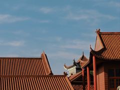 -长沙黑麋峰国家森林公园