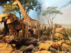 -陕西自然博物馆