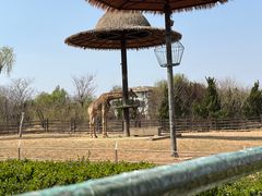 -济南野生动物世界