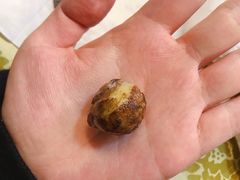 -观桥阁(锦溪店)