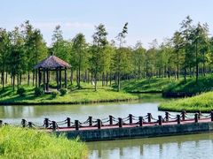 -春花秋色城市公园