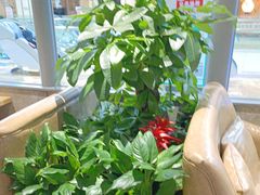 -荷花亭·湖北融合菜(十堰武商MALL店)