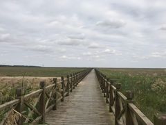 -盐城丹顶鹤湿地生态旅游区