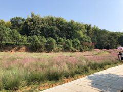 -凤凰沟景区