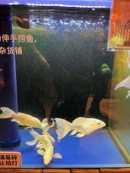 -造物庄园 萌宠纪(苏州湾歌林公园店)