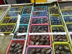 -南沙十九涌渔人码头-南门