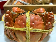 -黄记大闸蟹专卖店·活蟹·醉蟹