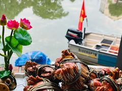 -水岸居湖景农家乐·阳澄湖大闸蟹