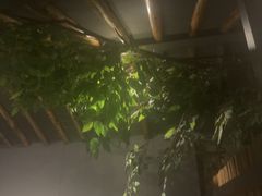 -扬派·扬州搓背馆(运河旗舰店)