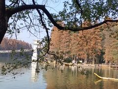 -东湖落雁景区