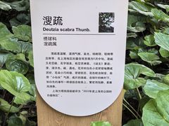 -上海方塔园