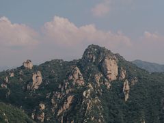 -大岭沟猕猴桃谷风景区