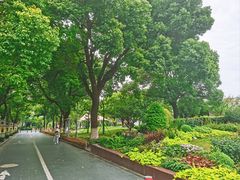 -七宝老街-闵行市民文化广场