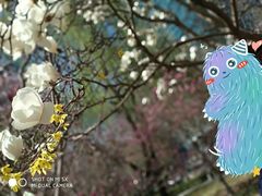 -中央民族大学