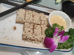 -金龙寨(龙城路店)