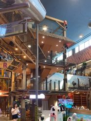 -卡通尼·Safari非洲探索乐园·生日会(金桥国际商业广场店)