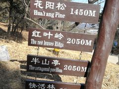 -北京西山国家森林公园