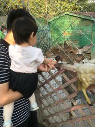 -萌宠亲子动物乐园(槐房万达店)