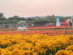 -盈香心动乐园