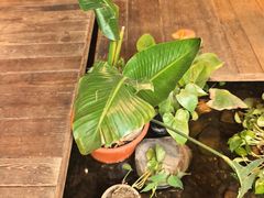 -邈墨茶馆(大兜路1号店)