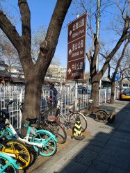 -北京大学第一医院妇产儿童医院