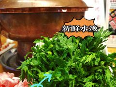 -寻小欢焖烤羊肉串(九眼桥店)