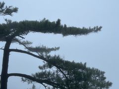 -萍乡武功山风景名胜区