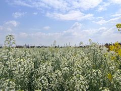 -中国天府农业博览园