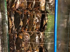 -Isla Sugbu Seafood City