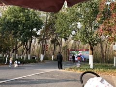 -合肥滨湖国家森林公园