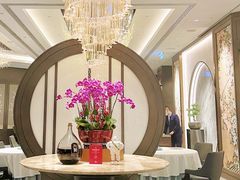 -万豪金殿(香港JW万豪酒店)