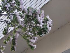 -漕溪路(地铁站)