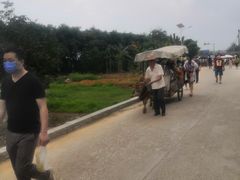 -扬美古镇景区