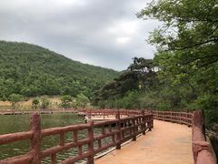 -徂徕山森林康养度假谷温泉