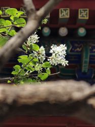 -菜百首饰店(总店)