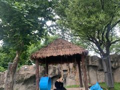 -上海野生动物园