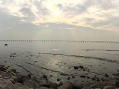 -宝安西湾红树林湿地公园