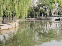 -黄村公园
