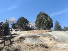 -白水寺森林公园