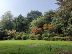 -青岛德国总督楼旧址博物馆