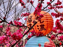 -桃源山庄·水蜜桃采摘·柴火鸡·烧烤团建(龙泉山店)