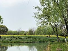 -西溪国家湿地公园