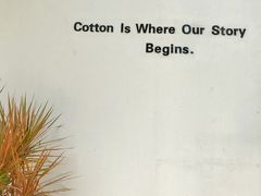 -COTTON CAFE(德信·中外公寓店)