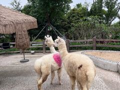 -珠海海泉湾神秘岛亲子乐园