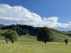 -新疆那拉提国家旅游度假区