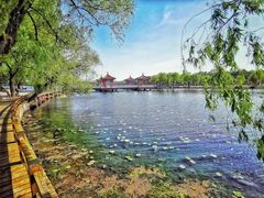 -长春市南湖公园