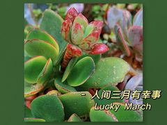 -尽善百年古院餐厅(王家老宅店)