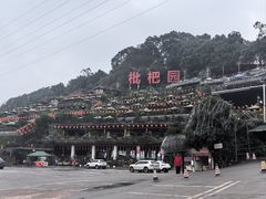 -枇杷园食为鲜火锅(南山店)