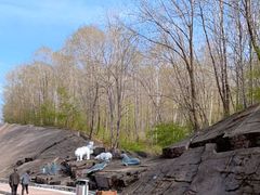 -哈尔滨北方森林动物园