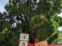 -四门塔风景区